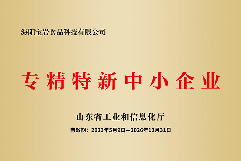 专精特新中小企业