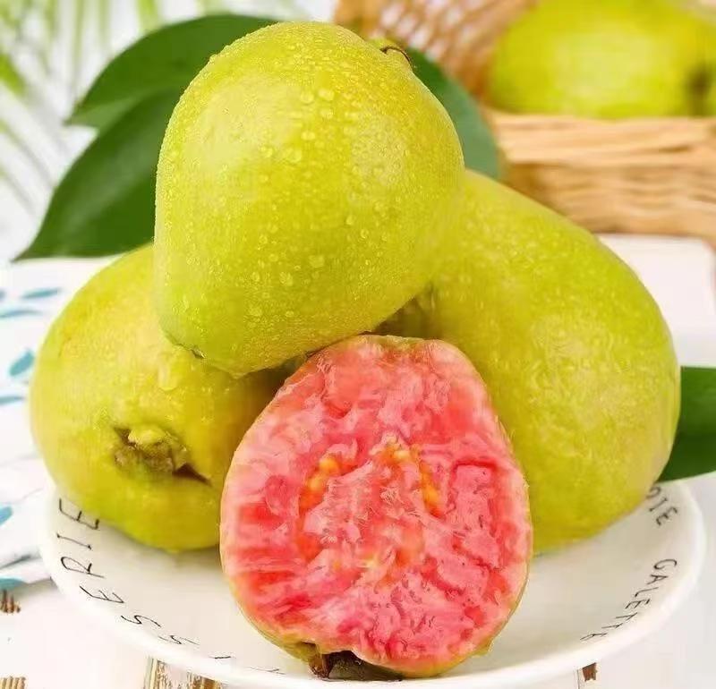 粉红芭乐果浆