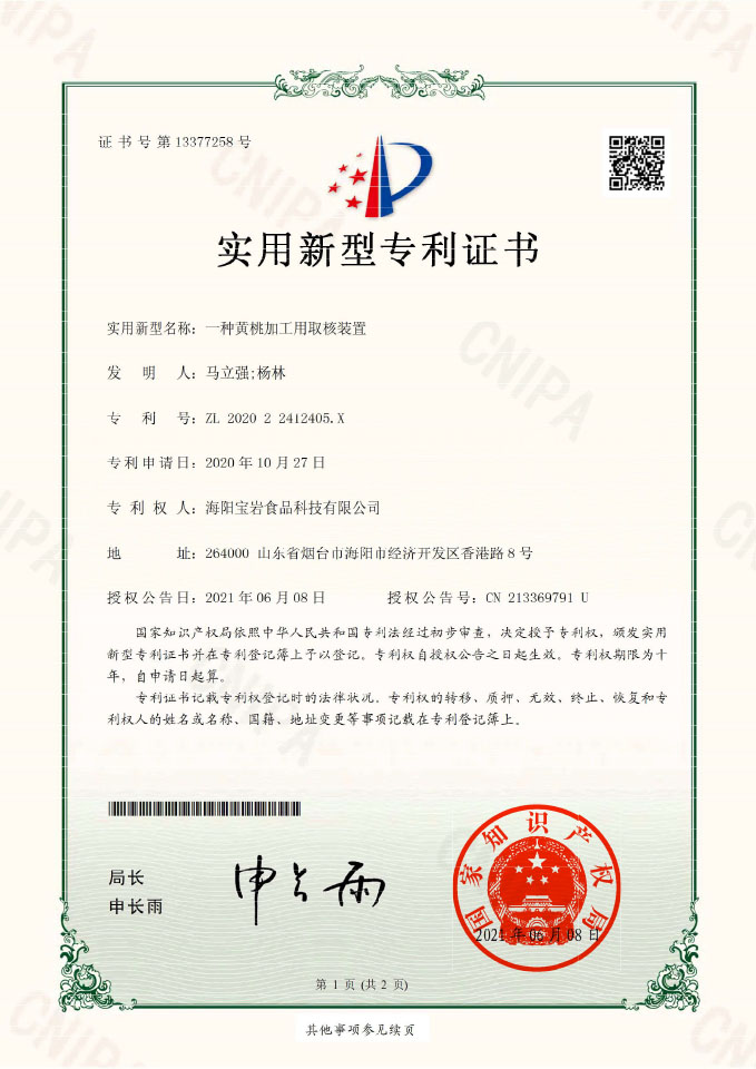 实用新型专利证书08