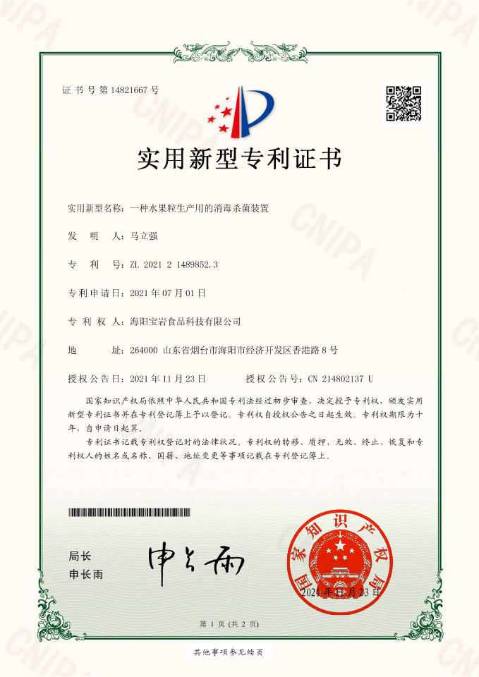 实用新型专利证书10